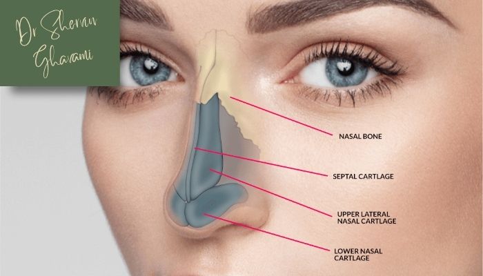 عوامل تاثیر گذار بر هزینه های رینوپلاستی عوامل تاثیر گذار بر هزینه های رینوپلاستی